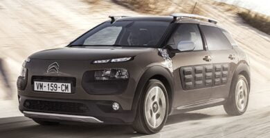 Descargar Manual CITROËN C4 CACTUS 2014 PDF GRATIS 🏅 de Usuario