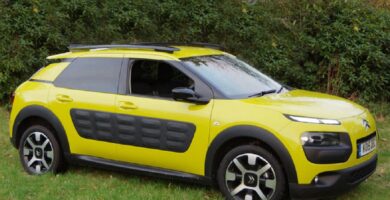 Descargar Manual CITROËN C4 CACTUS 2015 PDF GRATIS 🏅 de Usuario