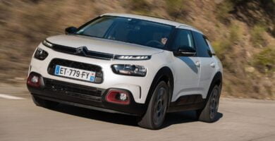 Descargar Manual CITROËN C4 CACTUS 2018 PDF GRATIS 🏅 de Usuario