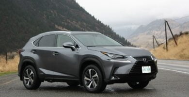 Descargar Manual LEXUS NX300 2018