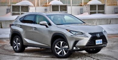 Descargar Manual LEXUS NX300 2019