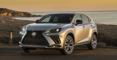 Descargar Manual LEXUS NX300 2021