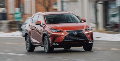 Descargar Manual LEXUS NX300h 2020