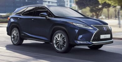 Descargar Manual LEXUS RX450hL 2020