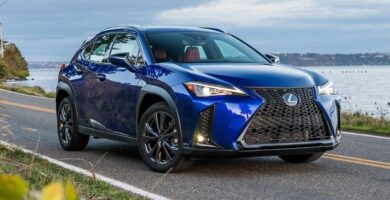 Descargar Manual LEXUS UX200 2019