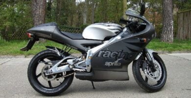 Descargar Manual APRILIA RS 2002 de Usuario PDF GRATIS