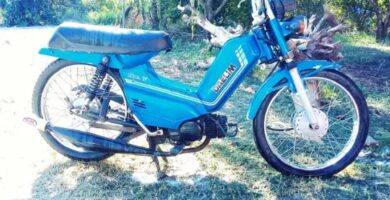 Descargar Manual Moto DAELIM liberty 50 CC 1995 de Usuario PDF GRATIS