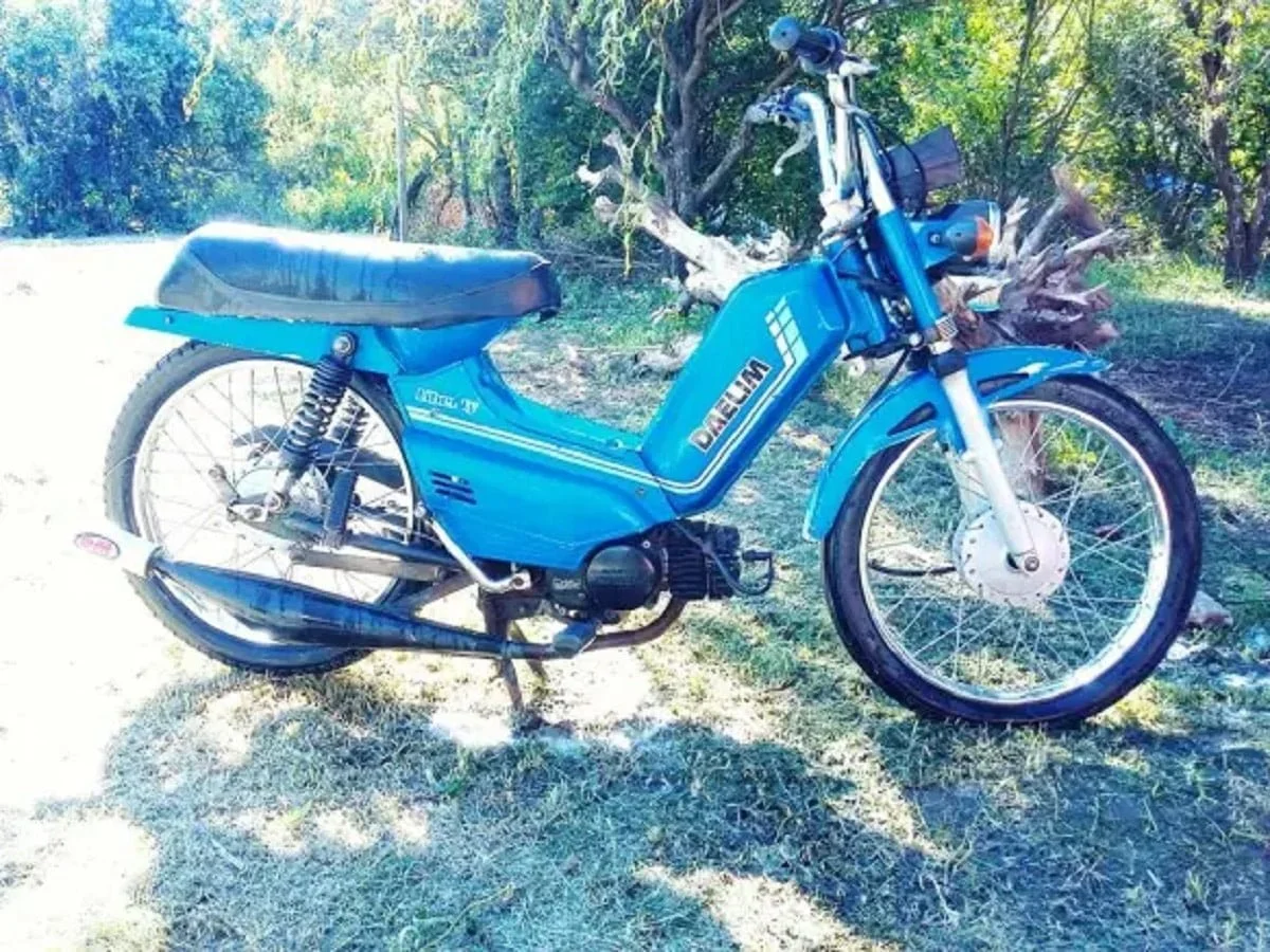 Descargar Manual Moto DAELIM liberty 50 CC 1995 de Usuario PDF GRATIS