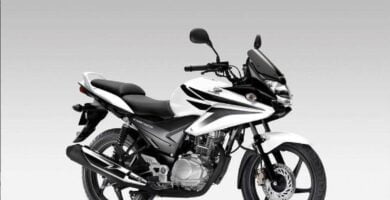 Descargar Manual Moto HONDA CBF 2010 de Usuario PDF GRATIS