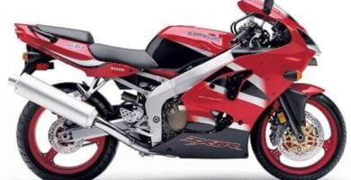 Descargar Manual Moto KAWASAKI NINJA 2002 de Usuario PDF GRATIS