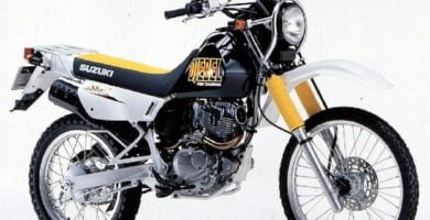 Descargar Manual Moto SUZUKI DR 200 1996 de Usuario PDF GRATIS