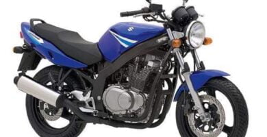 Descargar Manual Moto SUZUKI GS 2004 de Usuario PDF GRATIS