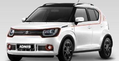 Descargar Catalogo de Partes SUZUKI IGNIS 2019 AutoPartes y Refacciones