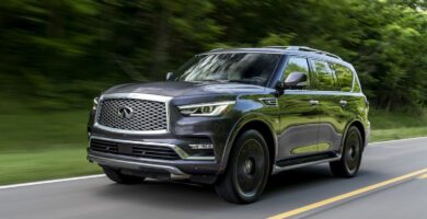 Descargar Catalogo de Partes QX80 2019 INFINITI AutoPartes y Refacciones