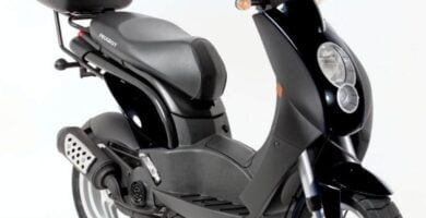 Descargar Manual Moto PEUGEOT LUDIX 2010 de Usuario PDF GRATIS