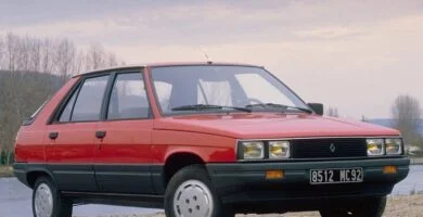 Descargar Manual RENAULT 11 1981 de Reparación y Servicio