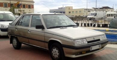 Descargar Manual RENAULT 4 FURGONETA 1987 de Reparación y Servicio