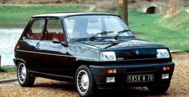 Descargar Manual RENAULT 5 1979 de Reparación y Servicio