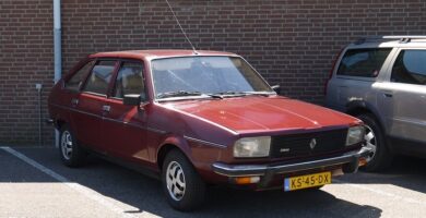 Descargar Manual RENAULT 20 1984 de Reparación y Servicio