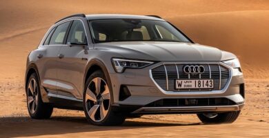 Descargar Manual AUDI Audi E-Tron 2019 de Reparación Descarga GRATIS