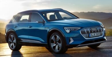 Descargar Manual AUDI Audi E-Tron 2020 de Reparación Descarga GRATIS