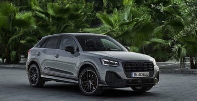 Descargar Manual AUDI Audi Q2 2021 de Reparación Descarga GRATIS