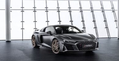 Descargar Manual AUDI R8 4S 2019 de Reparación Descarga GRATIS