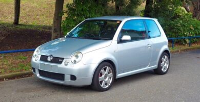 Descargar Manual VOLKSWAGEN Lupo 2005 de Reparación GRATIS