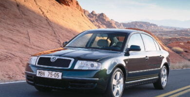 Descargar Manual SKODA SUPERB 2004 de Reparación y Servicio