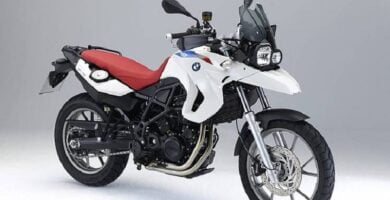 Descargar Manual Moto BMW-F 650 GS-2010 de Usuario PDF GRATIS