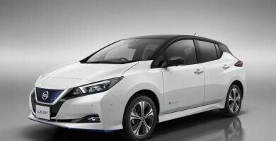 Descargar Manual de Propietario NISSAN LEAF 2019 en PDF Gratis