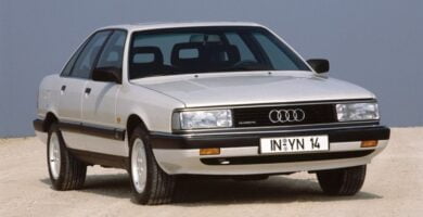 Descargar Catálogo de Partes AUDI 100 1988 AutoPartes y Refacciones