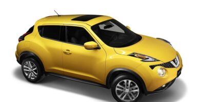 Descargar Manual de Propietario NISSAN Juke 2015 en PDF Gratis