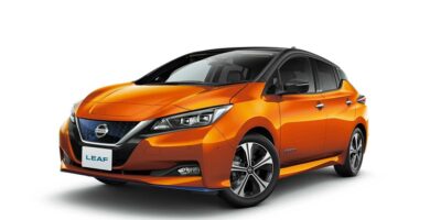 Descargar Manual de Propietario NISSAN LEAF 2020 en PDF Gratis