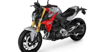 Descargar Manual Moto BMW-F 900 R-2019 de Usuario PDF GRATIS