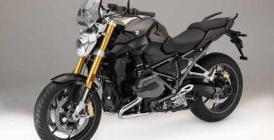 Descargar Manual BMW-R-1200 R-2014 de Usuario PDF GRATIS