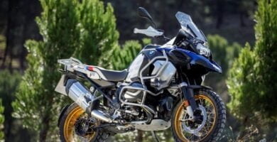 Descargar Manual BMW-R 1250 GS-2020 de Usuario PDF GRATIS