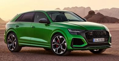 Descargar Catálogo de Partes AUDI Q8 2020 AutoPartes y Refacciones