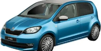 Descargar Manual SKODA CITIGO 2021 de Reparación y Servicio