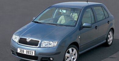 Descargar Catálogo de Partes SKODA FABIA 2004 AutoPartes y Refacciones