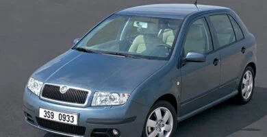 Descargar Manual SKODA FABIA 2004 de Reparación y Servicio