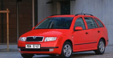 Descargar Manual SKODA FABIA 2006 de Reparación y Servicio