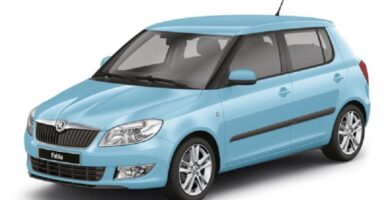 Descargar Catálogo de Partes SKODA FABIA 2009 AutoPartes y Refacciones