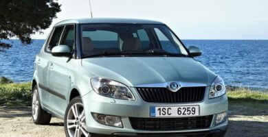 Descargar Catálogo de Partes SKODA FABIA 2010 AutoPartes y Refacciones