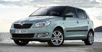 Descargar Manual SKODA FABIA 2011 de Reparación y Servicio