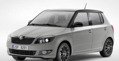 Descargar Catálogo de Partes SKODA FABIA 2013 AutoPartes y Refacciones