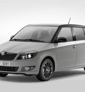 Descargar Manual SKODA FABIA 2013 de Reparación y Servicio