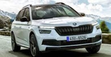 Descargar Manual SKODA KAMIQ 2017 de Reparación y Servicio