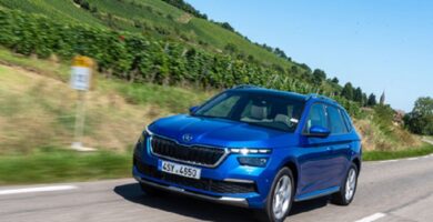 Descargar Manual SKODA KAMIQ 2019 de Reparación y Servicio