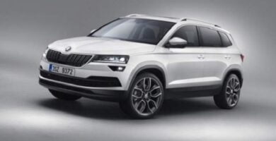 Descargar Catálogo de Partes SKODA KAROQ 2008 AutoPartes y Refacciones